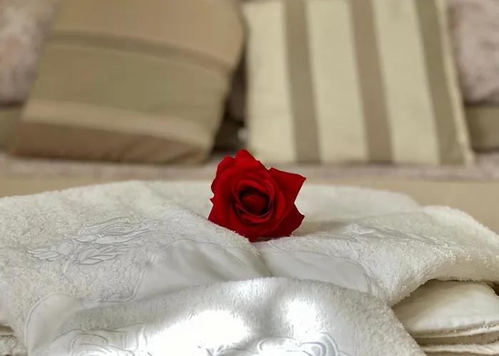 Rosa Charme